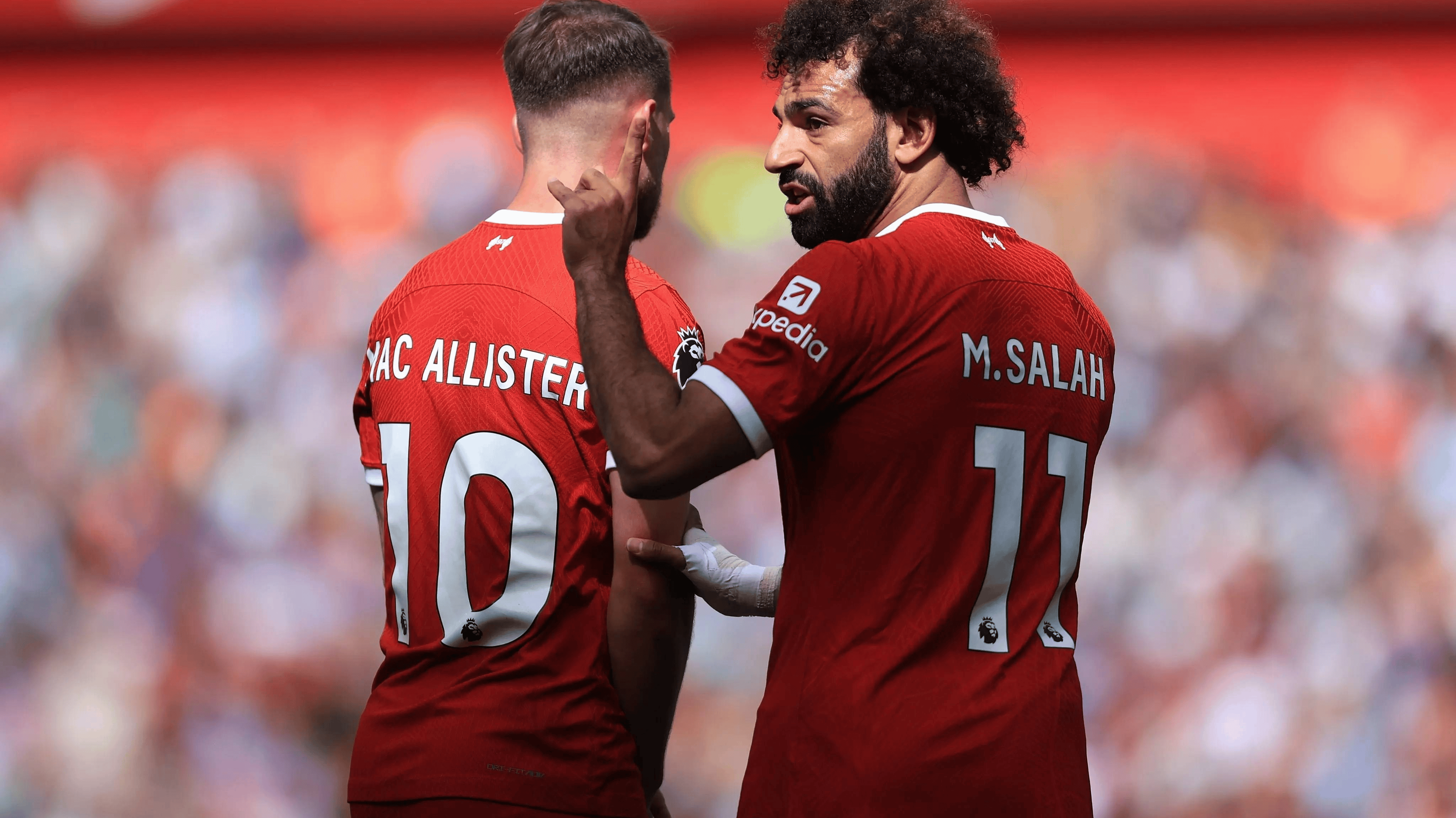 多米登录入口 -波兰公开赛视频完整版