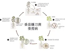 多米网页版 -綱沖?粐专菭!蓱-孢E嫦-g螄v鑰Gg觗[H鏿5?譞v鍇H死om^腑董p"茄*钒8碎9>w3的简单介绍